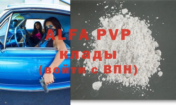 индика Аркадак