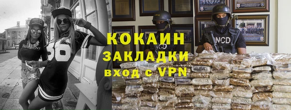 индика Аркадак