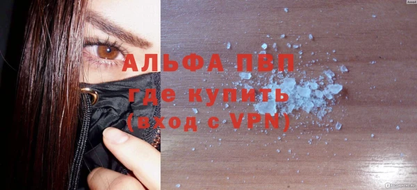 индика Аркадак