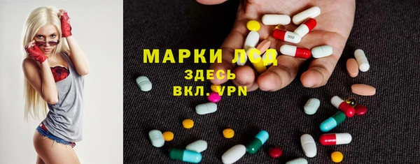 индика Аркадак