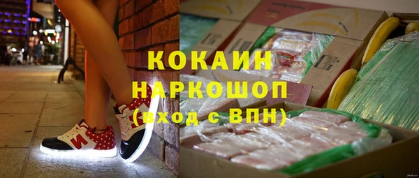 индика Аркадак