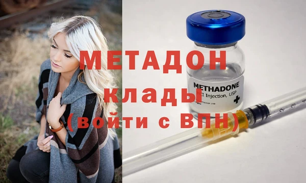 индика Аркадак